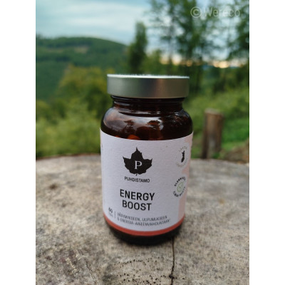 Puhdistamo EnergyBoost: 6 složek pro buněčnou energii | Wereco
