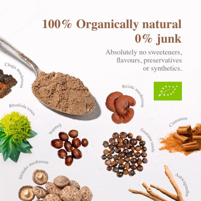 Soulel Dirt BIO | Alternativa kávy Chaga Ženšen Vegan | Wereco