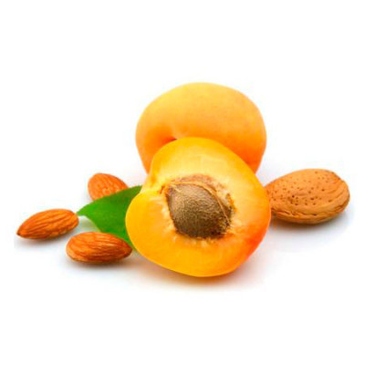 Armina bio oil from apricot kernels - softening and brightening of the skin | WERECO