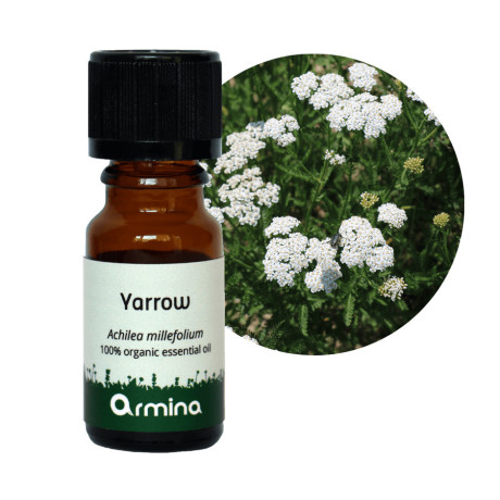 Armina Bio éterický olej Řebříček 5 ml