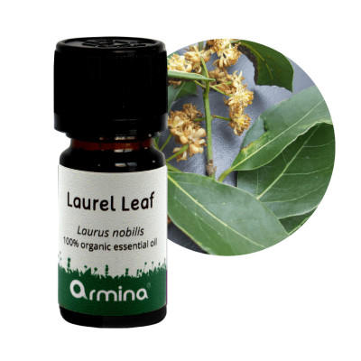 Armina bio essential bay leaf oil - support for circulation and musculoskeletal pain | WERECO