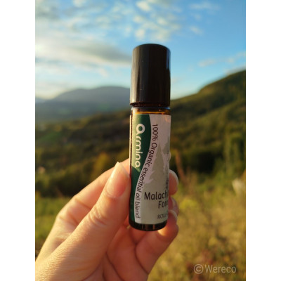 Armina Malachite Forest bio roll-on 10ml - jehličnaté oleje proti stresu | WERECO