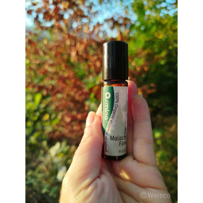 Armina Malachite Forest bio roll-on 10ml - jehličnaté oleje proti stresu | WERECO