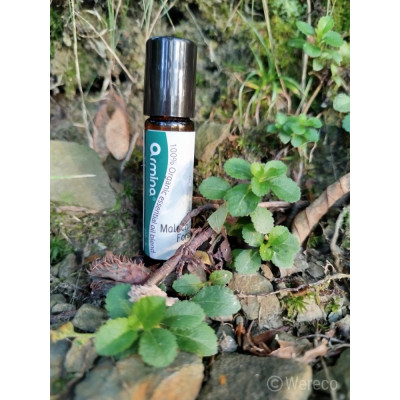 Armina Malachite Forest bio roll-on 10ml - jehličnaté oleje proti stresu | WERECO