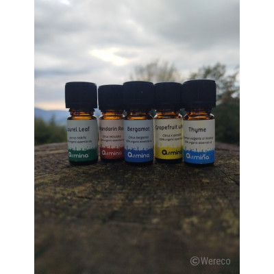 Armina bio esenciální olej grapefruit - energizace a anti-aging s fototoxicitou | WERECO
